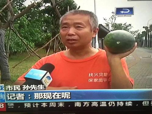 杭州一群吃瓜群众事件,网络围观背后的社会现象解析