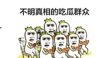 吃瓜群众华为,吃瓜群众眼中的科技巨头