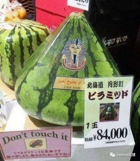 我曾是吃瓜群众的小说,一段小说中的成长之旅