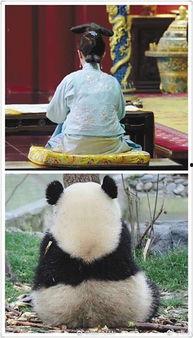 来自吃瓜群众的快乐,揭秘娱乐圈幕后趣事