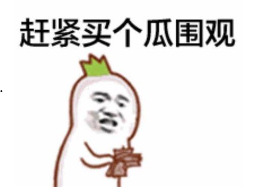 吃瓜群众米米彤,揭秘吃瓜群众的趣味生活