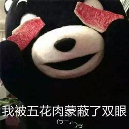 吃瓜群众搞笑一个视频,一场吃瓜群众的欢乐盛宴