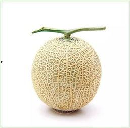 海里的吃瓜群众是谁啊,揭秘海洋生物的饮食习惯