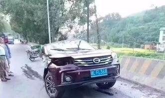 吃瓜群众吐槽汽车,吃瓜群众眼中的汽车众生相